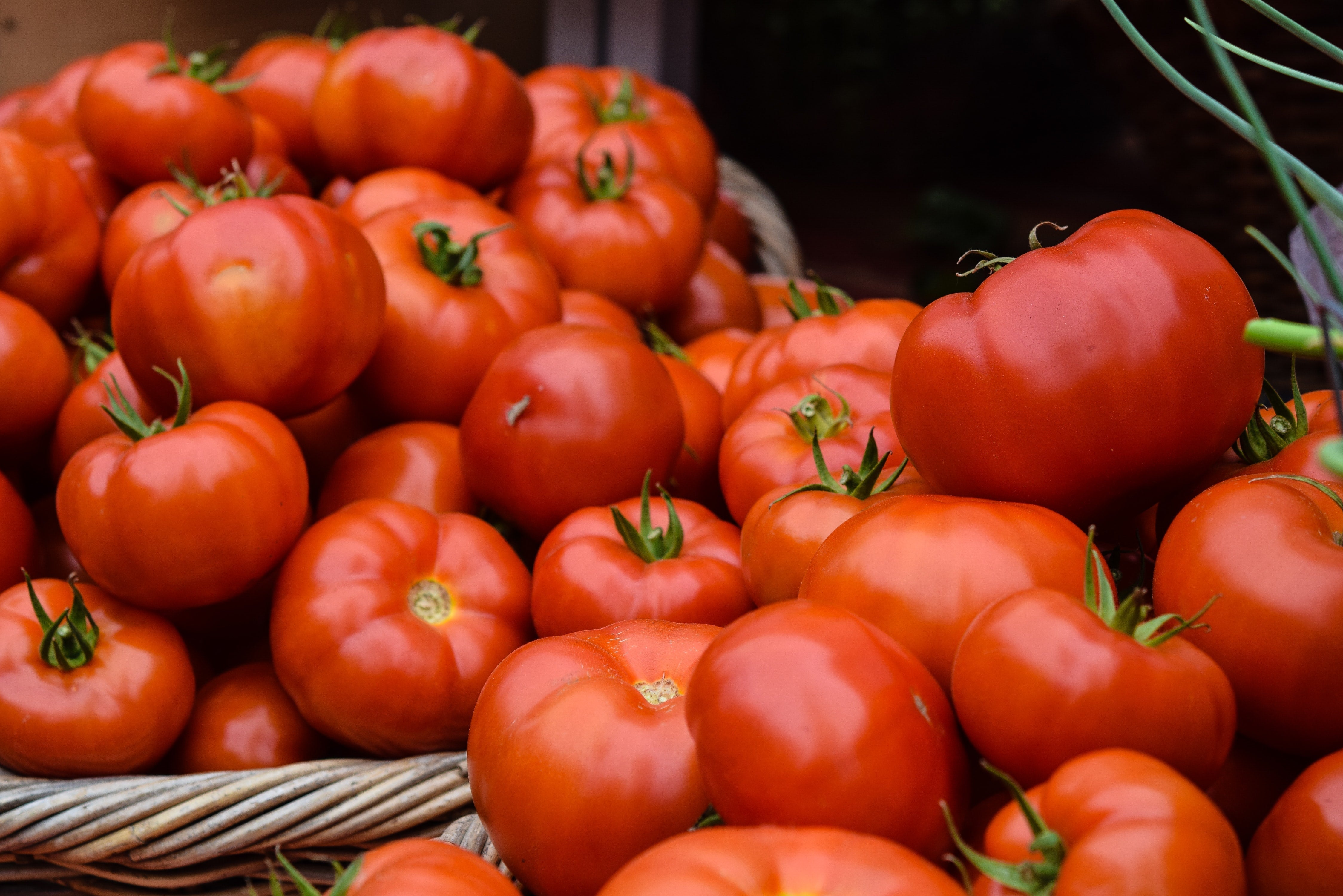 Mushroom, Herb Stuffed Tomatoes – Fustini's Oils & Vinegars