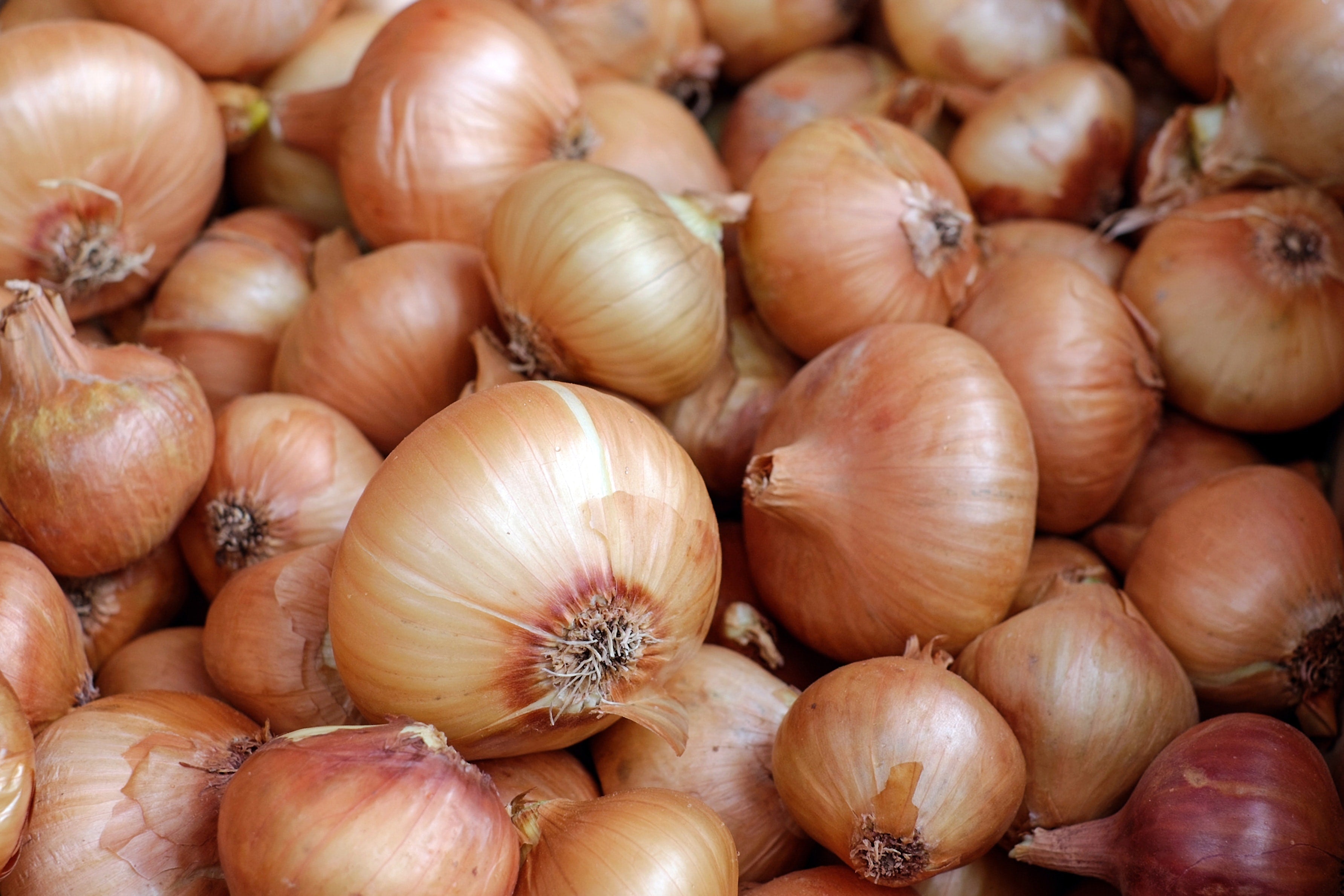 Sweet Onion Tart
&ndash; Fustini's Oils &amp; Vinegars