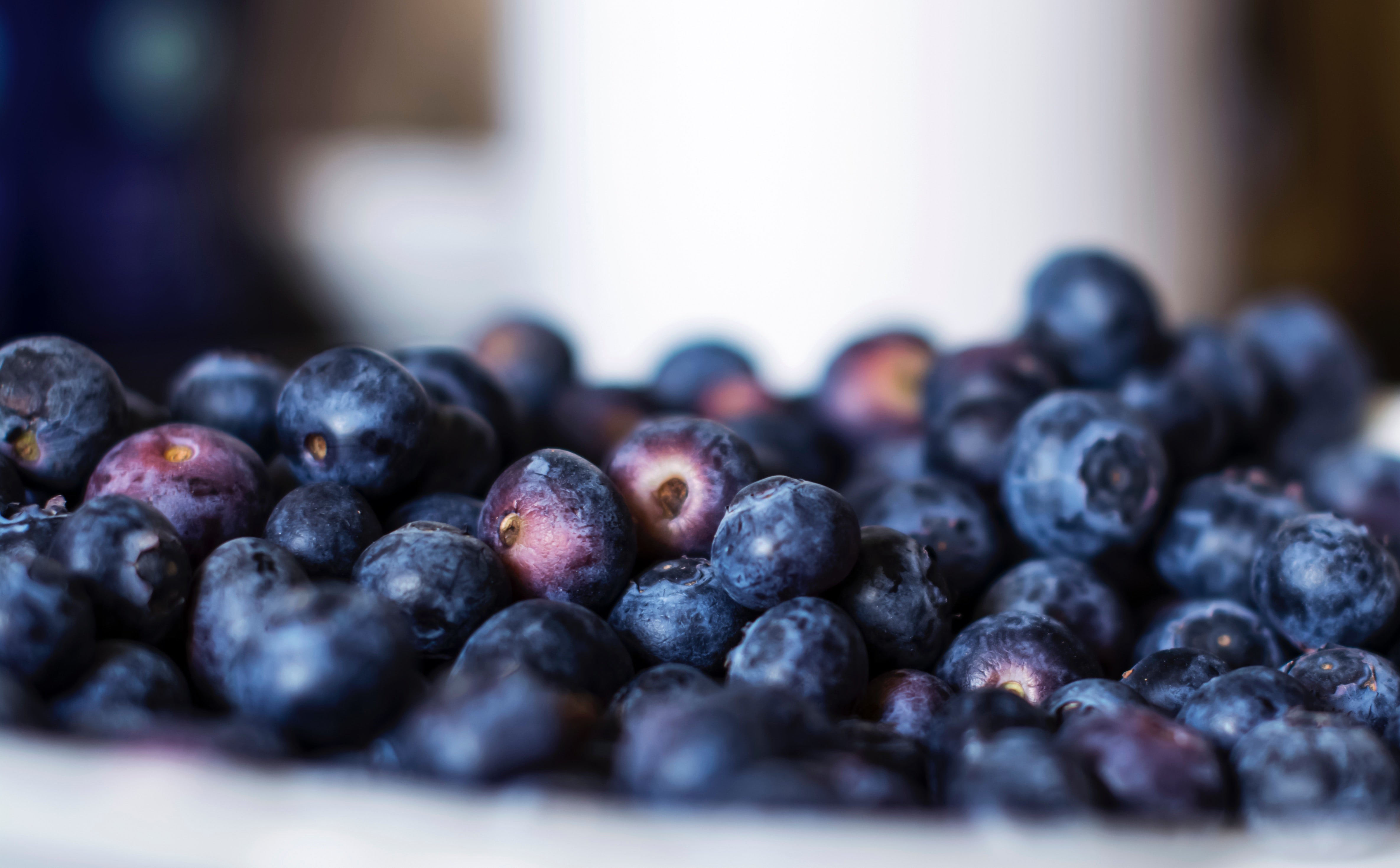 Lemon Blueberry Bread – Fustini's Oils & Vinegars