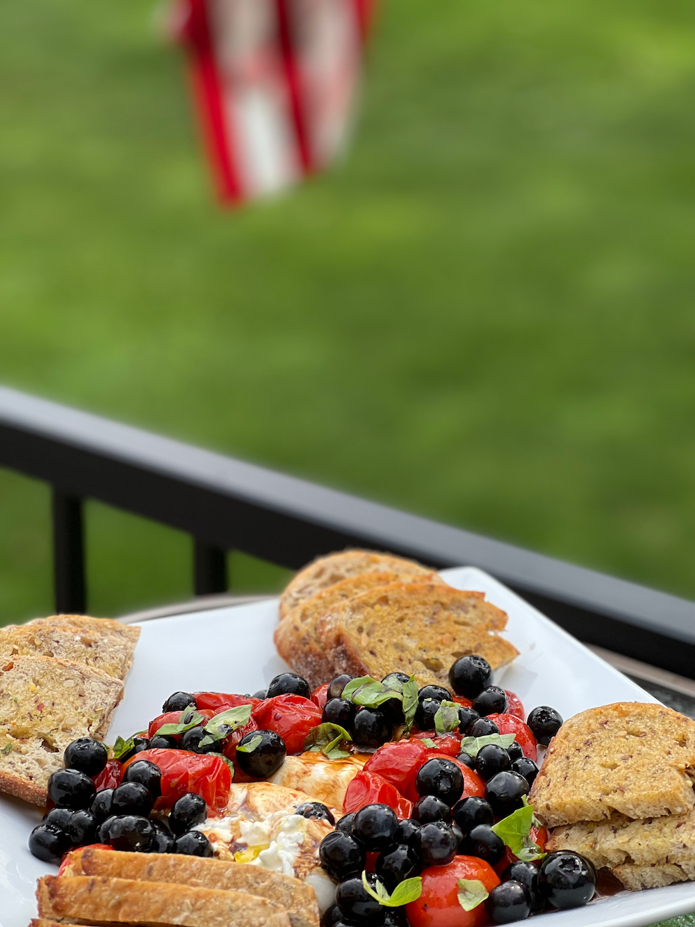 Red, White and Pickled Blueberry Burrata Dip – Fustini's Oils & Vinegars