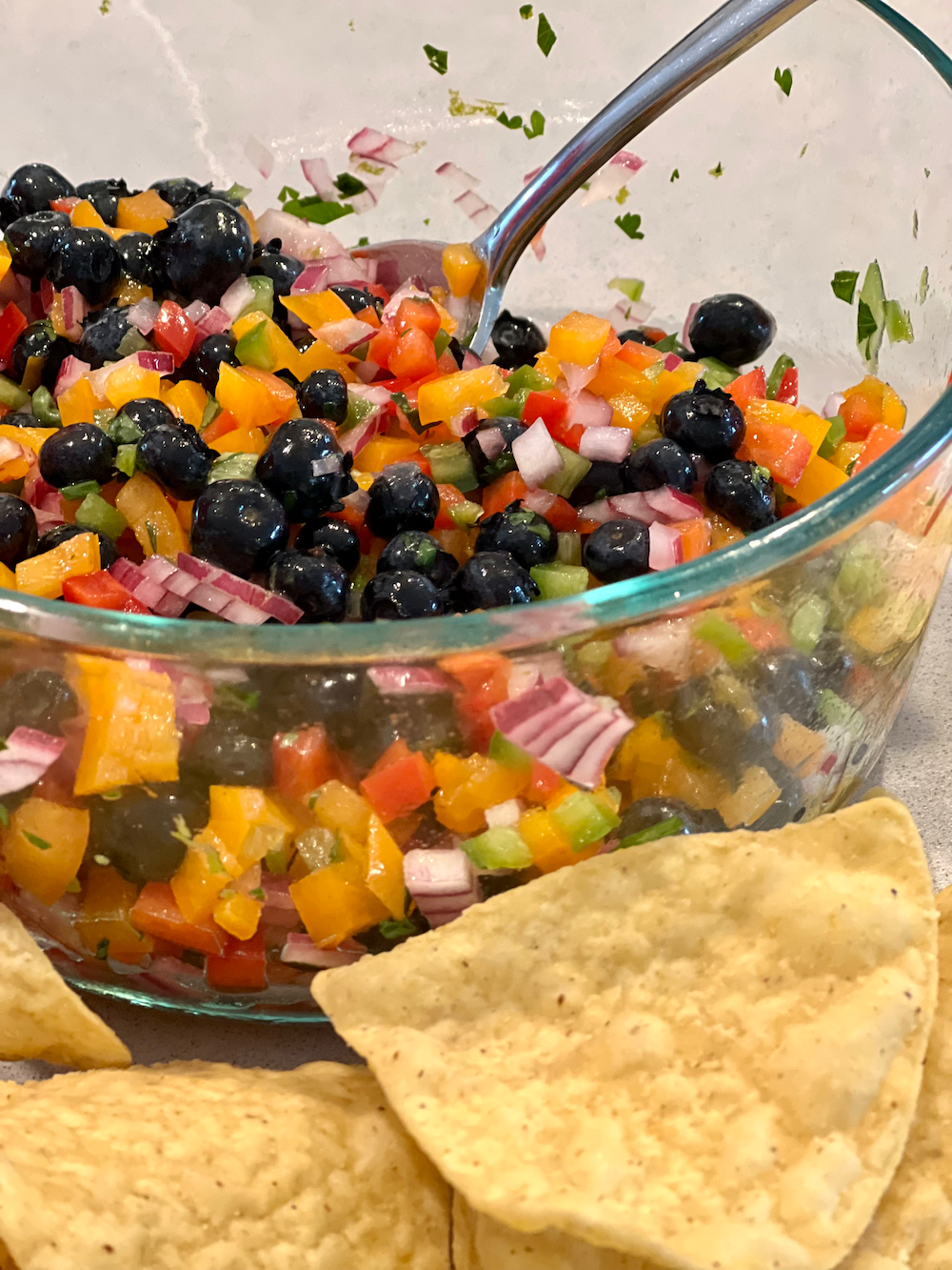 Blueberry Salsa – Fustini's Oils & Vinegars