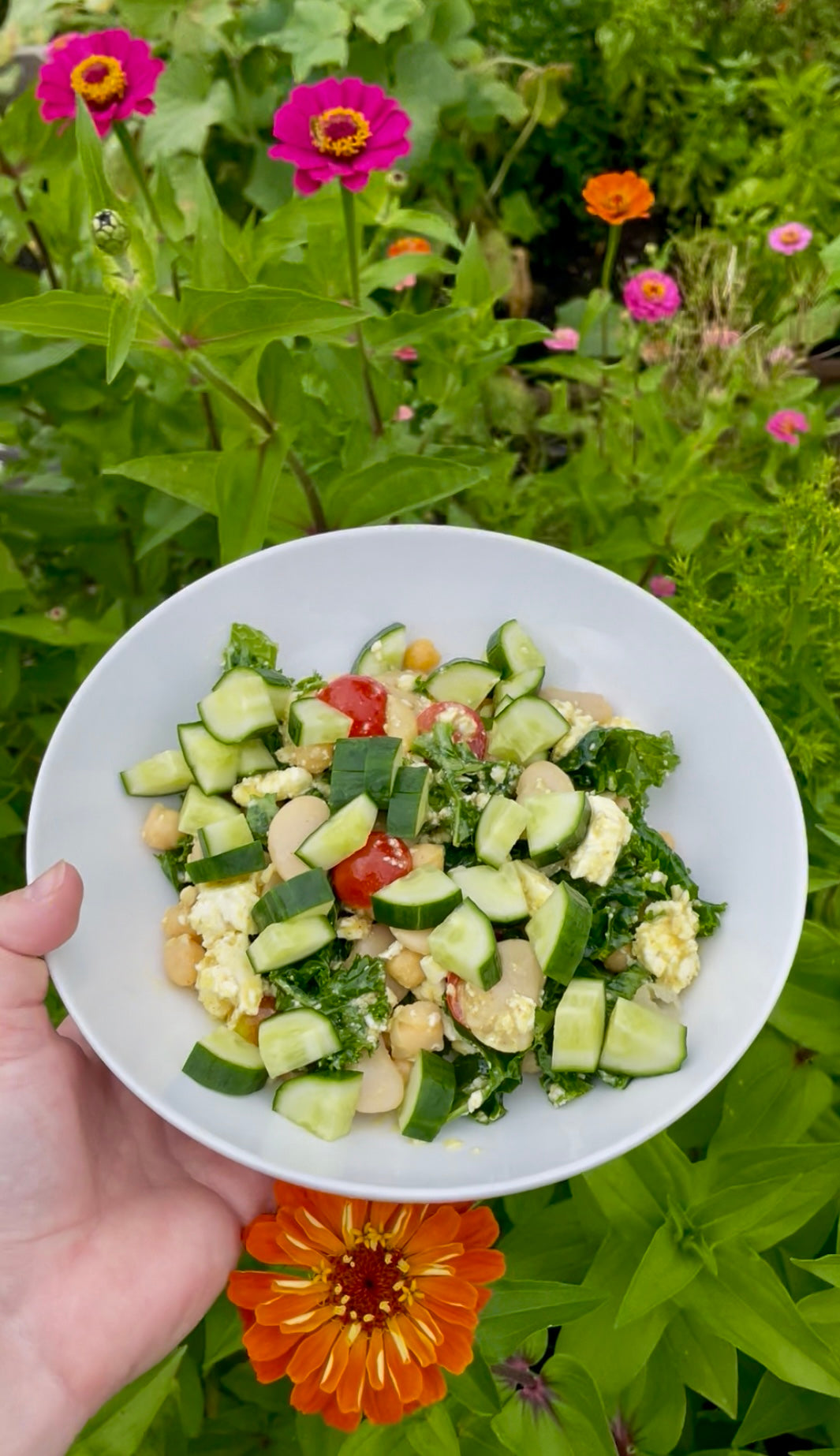 Fustini's Dense Bean Salad – Fustini's Oils & Vinegars