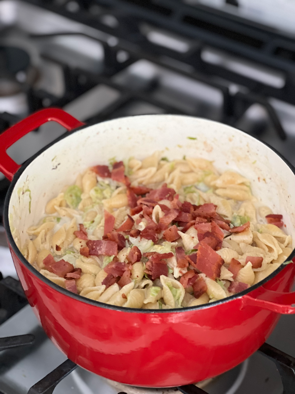 Irish Cheddar Macaroni and Cheese