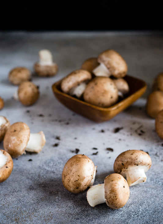 Simple Fried Morel Mushrooms