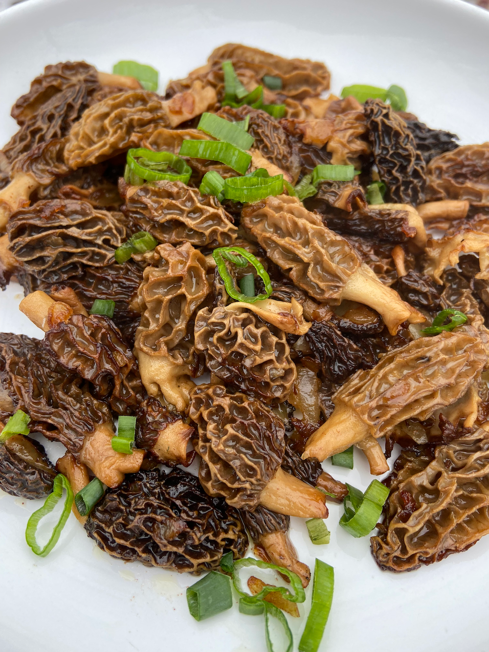Sautéed Morels