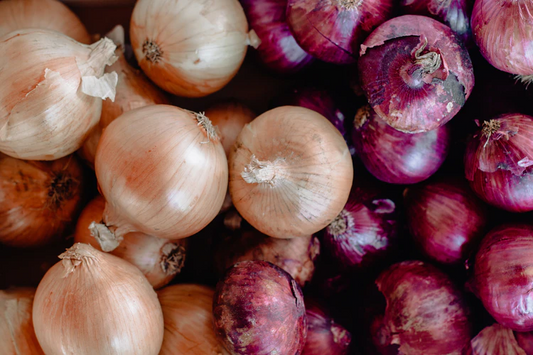 Winter Feature: All Things Onions